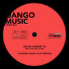 Bleeding Heart (Berkhan Baser Remix) - Rachael Starr&David Vendetta&Berkhan Baser