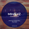 Hidden Sides (Play Insane Remix) - Mihalyz&Play Insane