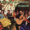 Bulerías (Fiesta Flamenca) - José Parrondo&Manuel Salado&Javier Barón&José Manuel Roldán