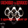Pikanter Versuch (Original Mix) - Pik-Fein&InToXx
