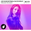 Through The Night - Lost House Rhythms&Falcos Deejay