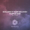 Purple Rain (David Folkebrant & Lokovski Remix) - Vadim Soloviev&SCOLARIO&David Folkebrant&Lokovski