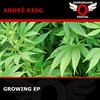 Growing (Original Mix) - Andre Rigg