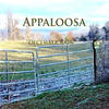 December Rain - Appaloosa