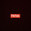 TikTok (Explicit) - TattedUp&PaperTreal