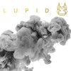 Was soll schon passieren - Lupid