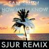 How Will I Know (SJUR Remix) - SJUR&Sam Smith