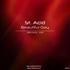 Beautiful Day (Original Mix) - St. Acid