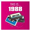 Big Fun - Inner City&Kevin Saunderson