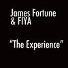 I Need Your Glory(feat. William Murphy) - James Fortune&Fiya&William Murphy