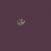 Fall From The Stars (Explicit) - M0TH!