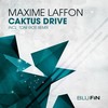 Caktus Drive (Max Is Nude) - Maxime Laffon&DRKS