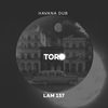 Thoughts & Groove (Original Mix) - Havana Dub