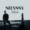 Male(feat. Masterbrain) - Shassy&Masterbrain