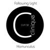 Homunculus - Following Light