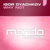 Why Not (Matt Eray's At Sunrise Remix) - Igor Dyachkov