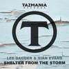 Shelter From The Storm (Original Extended Mix) - Lee Dagger&Sian Evans