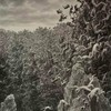 Tower of babel (feat. Akira Peso) (Explicit) - Ben Kawasaki&Akira peso
