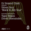 Black In My Soul (Tiger Stripes Main Remix) - DJ Roland Clark&Urban Soul