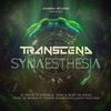 What You Are (Original Mix) - Transcend