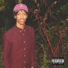 Strange Fruit (Explicit) - Draven