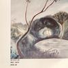 情节 - Yuet