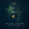 I'm Not Here (Turu Anasi Remix) - Tayf&Turu Anasi