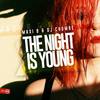 The Night Is Young (Original Mix) - Maxi B&DJ Chumbe