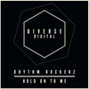 Hold On To Me (Original Mix) - Rhythm Rockerz