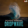 Dropwave (Extended Mix) - Ricardo Montana
