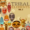 Ice and Milk (Tribal Original Mix) - Dj Congas
