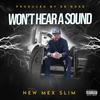 Won't Hear a Sound - New Mex Slim