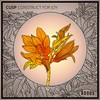 Construct for Joy - cusp