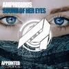 Sound Of Her Eyes (Original Mix) - Amphibious