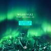 Colours Of The Night - Wildstylez&Michael Jo