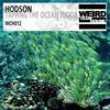 Tapping the Ocean Floor - Hodson