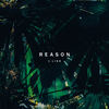 Reason - J Lisk