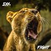 Fight (Explicit) - Sav