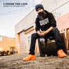 Born to Stand Out (Explicit) - L-FRESH The LION