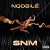 SNM - Nqobile