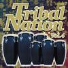 SPRING DRUMS (Original Peruz Version) - Power Flower