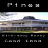 Pines (feat. Birkinboy Money) (Explicit) - Caso Loso&Birkinboy Money
