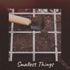 Smallest Things - The Tune Mill