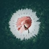 Different - Limzy