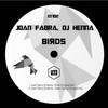 Birds (Original Mix) - Dj Henna&Joan Fabra