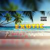 EXOTIC (feat. Young Lexx) (Explicit) - FTF Dizzy&Young Lexx