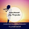 Joy Perspective (Vince Forwards Remix) - Andrei Niconoff&vince forwards