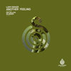 Another Feeling (Ian Dillon Remix) - Liam Sieker&Ian Dillon