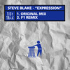 Expression (F1 Remix) - Steve Blake&F1