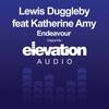 Endeavour (Intro Mix) - Lewis Duggleby&Katherine Amy